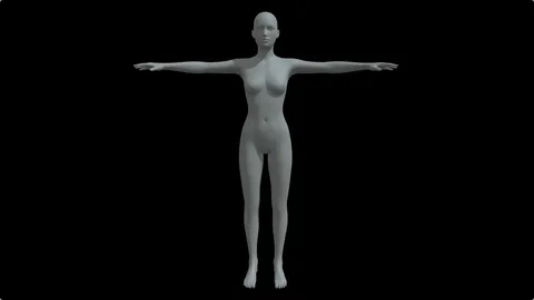 Female Body Base Mesh 2 - Blender 3d models