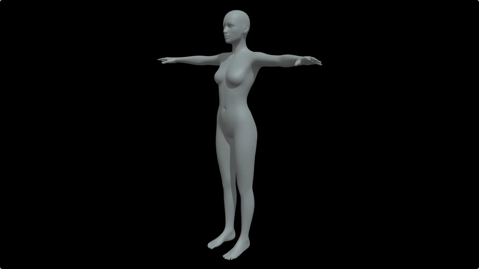 Female Body Base Mesh 2 screenshot 2