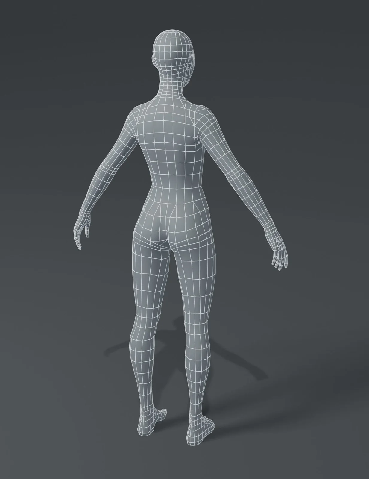 Female Body Base Mesh screenshot 4