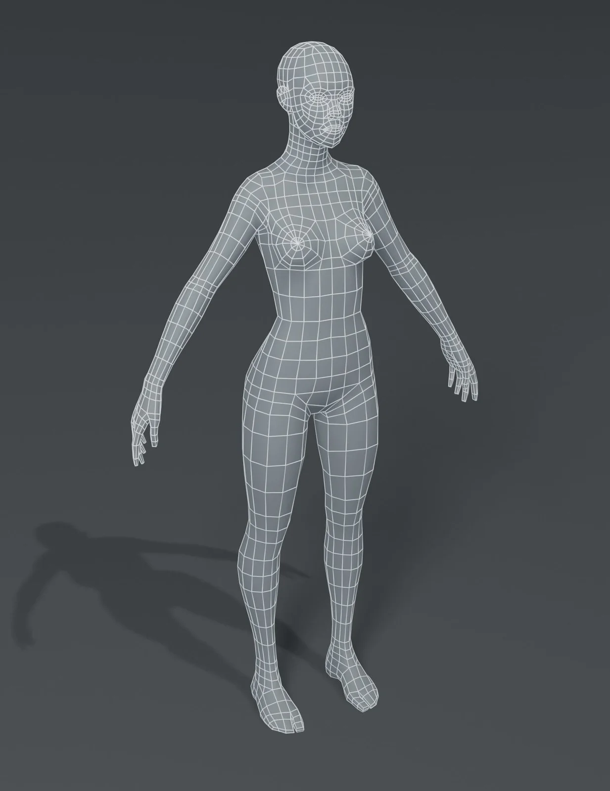 Female Body Base Mesh screenshot 5