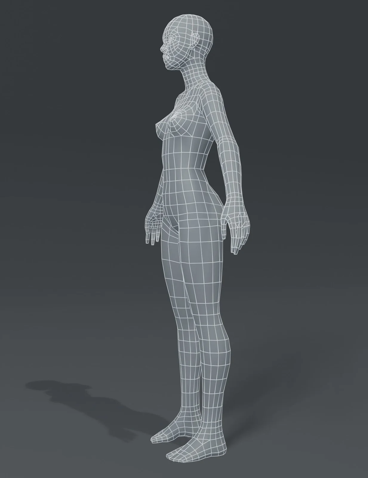 Female Body Base Mesh screenshot 6
