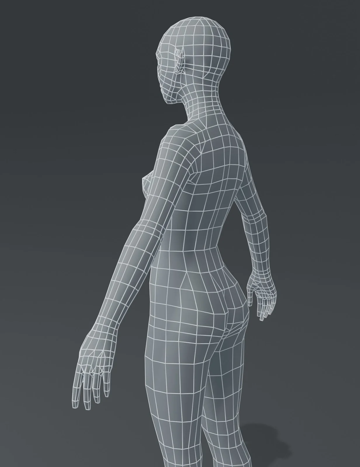 Female Body Base Mesh screenshot 8