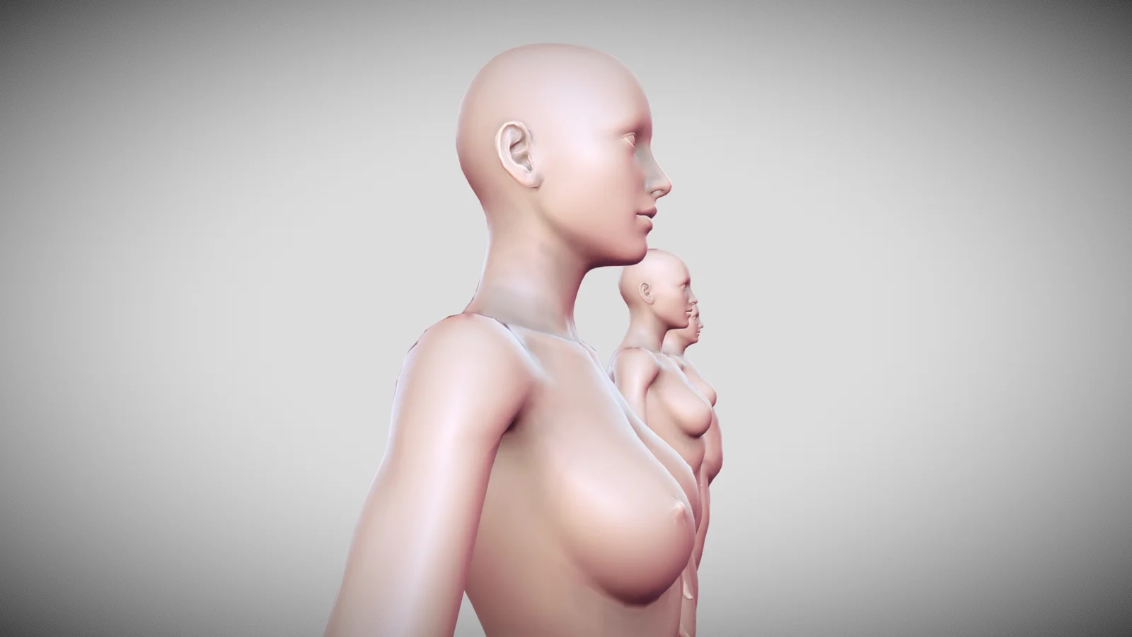 Female Body Base Mesh screenshot 7