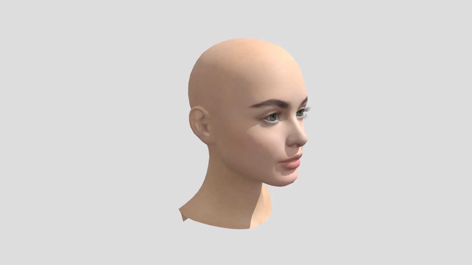 Female Head screenshot 2