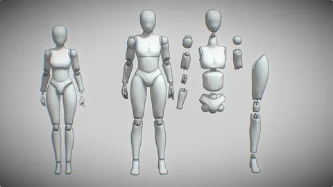 Male Ball Joint Doll Basemesh - Blender 3d models