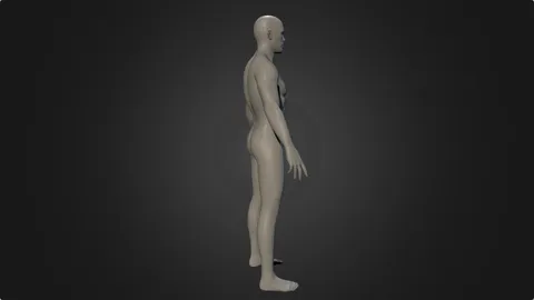 Male Body Base Mesh 2 - Blender 3d models