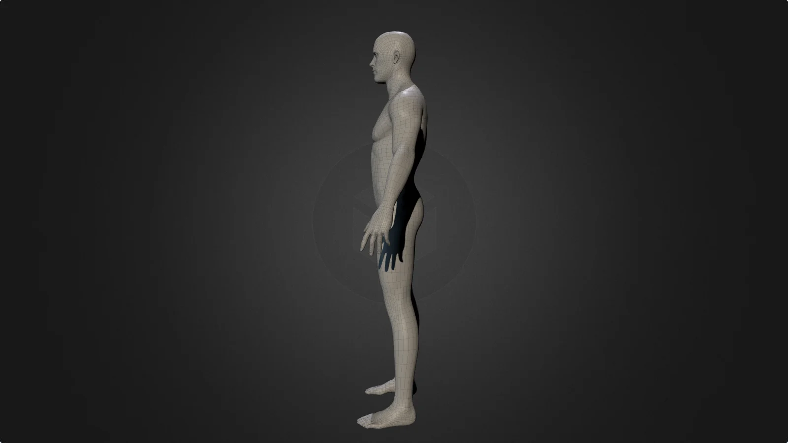 Male Body Base Mesh 2 screenshot 2