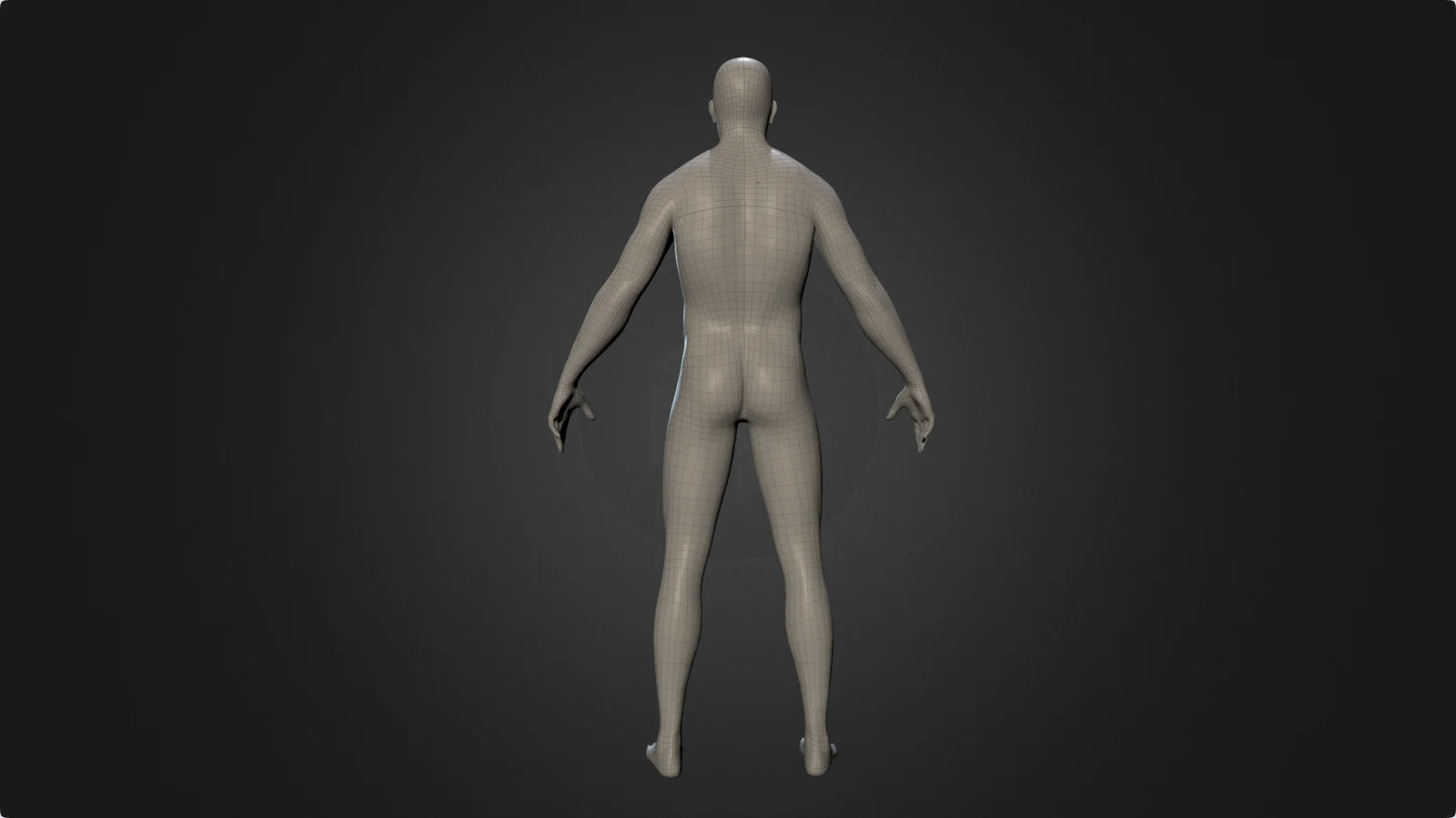 Male Body Base Mesh 2 screenshot 3
