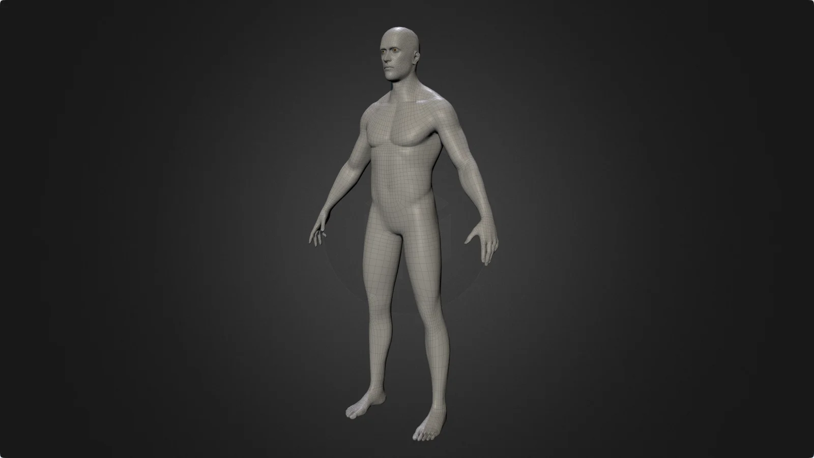 Male Body Base Mesh 2 screenshot 4