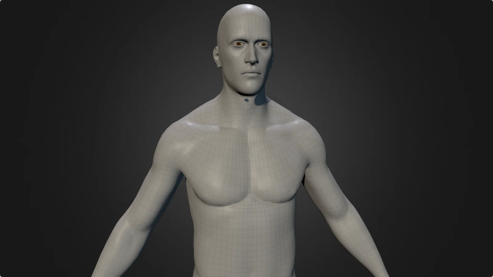 Male Body Base Mesh 2 screenshot 6