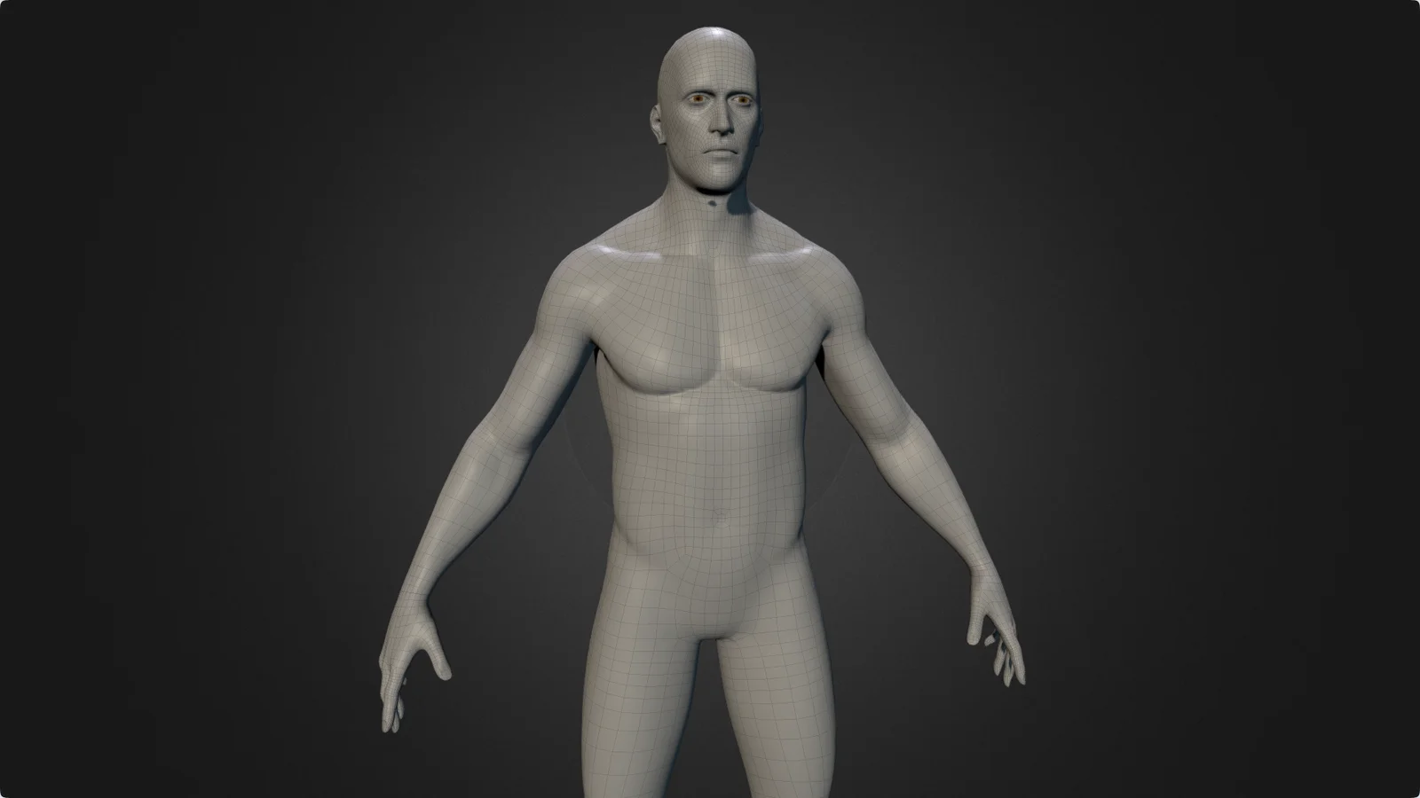 Male Body Base Mesh 2 screenshot 7