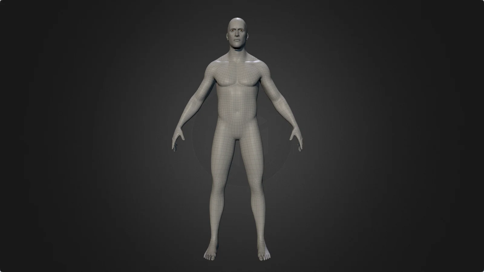 Male Body Base Mesh 2 screenshot 8