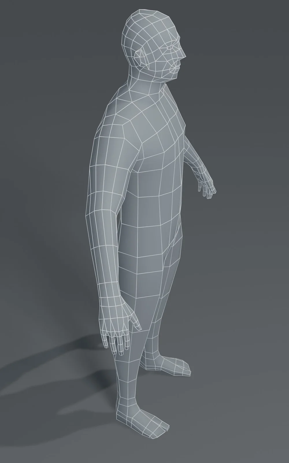 Male Body Base Mesh screenshot 4