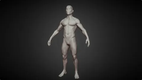 Highpoly Male Base Mesh - Blender 3d models