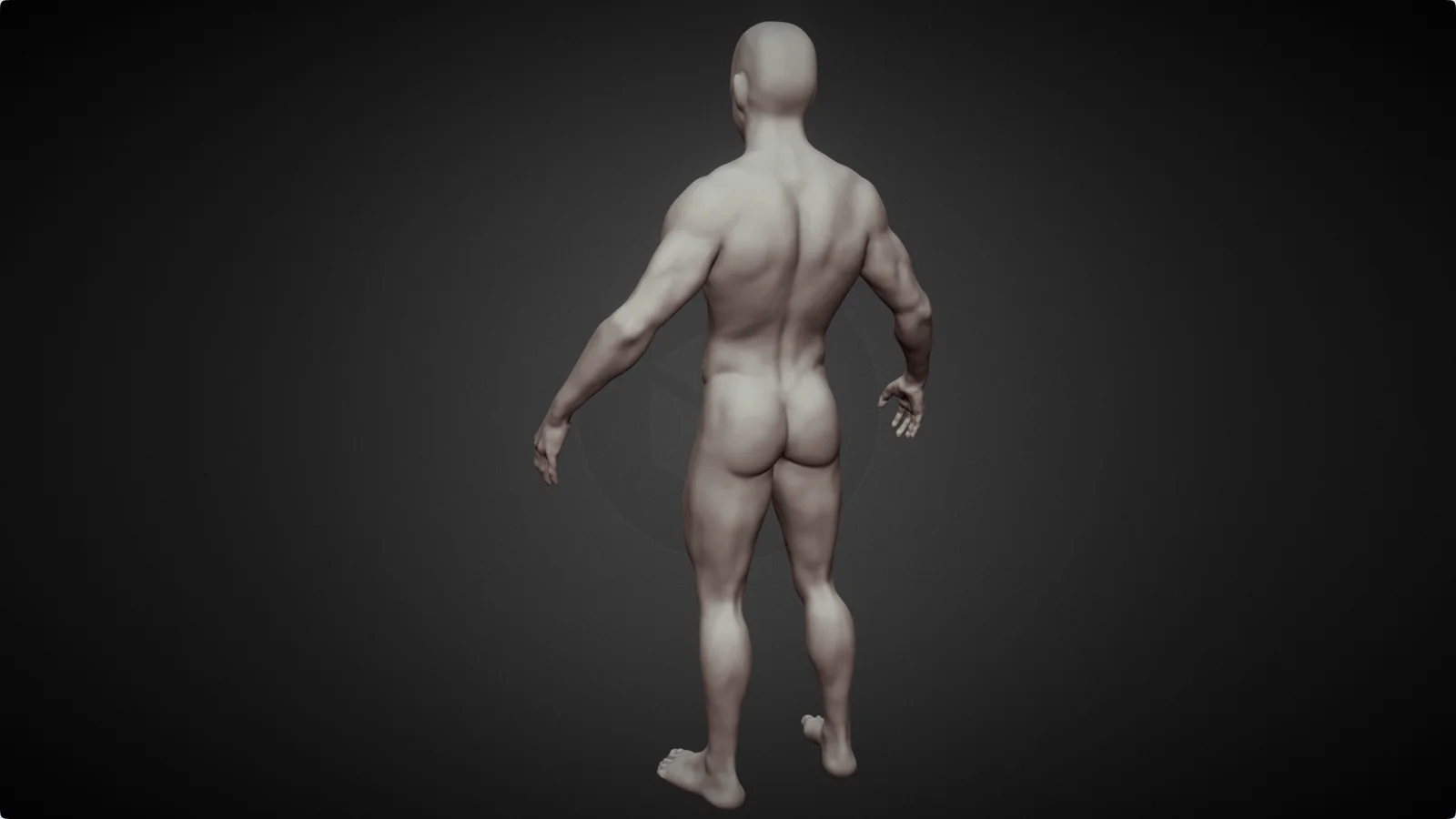 Highpoly Male Base Mesh screenshot 3