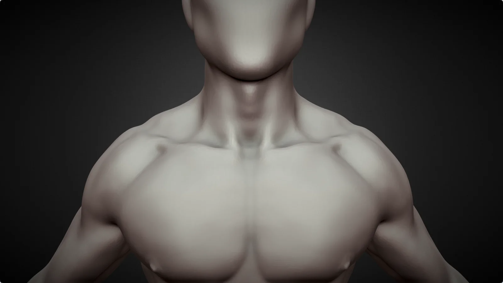Highpoly Male Base Mesh screenshot 8