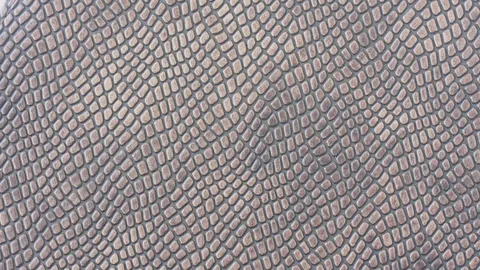 Snake Skin Textures - Blender textures & materials
