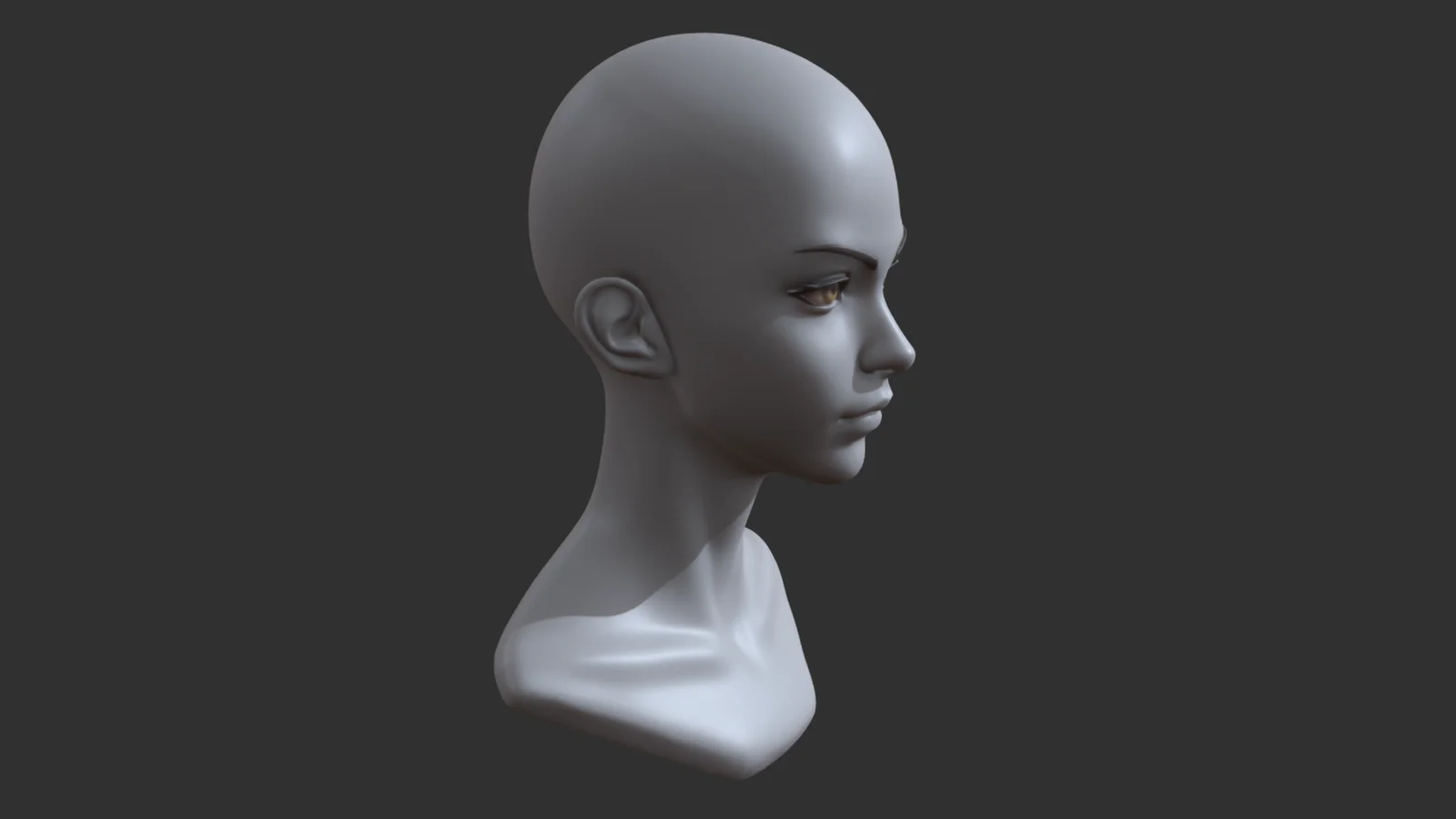 Stylized Anime Female Head screenshot 6