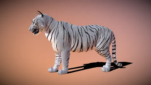 White Tiger - Blender 3d models