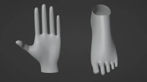 Stylized Hand and Foot - Blender 3d models