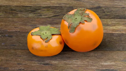 Fuyu and Hachiya Persimmon Models - Blender 3d models