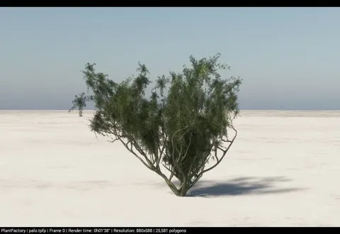 Game Ready Palo Tree - Blender 3d models