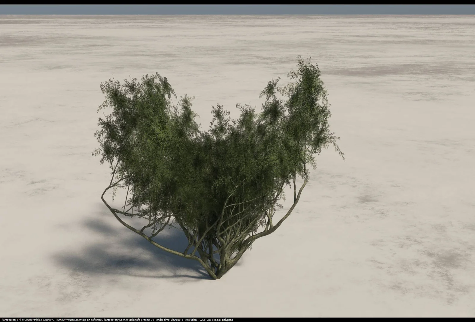 Game Ready Palo Tree screenshot 2