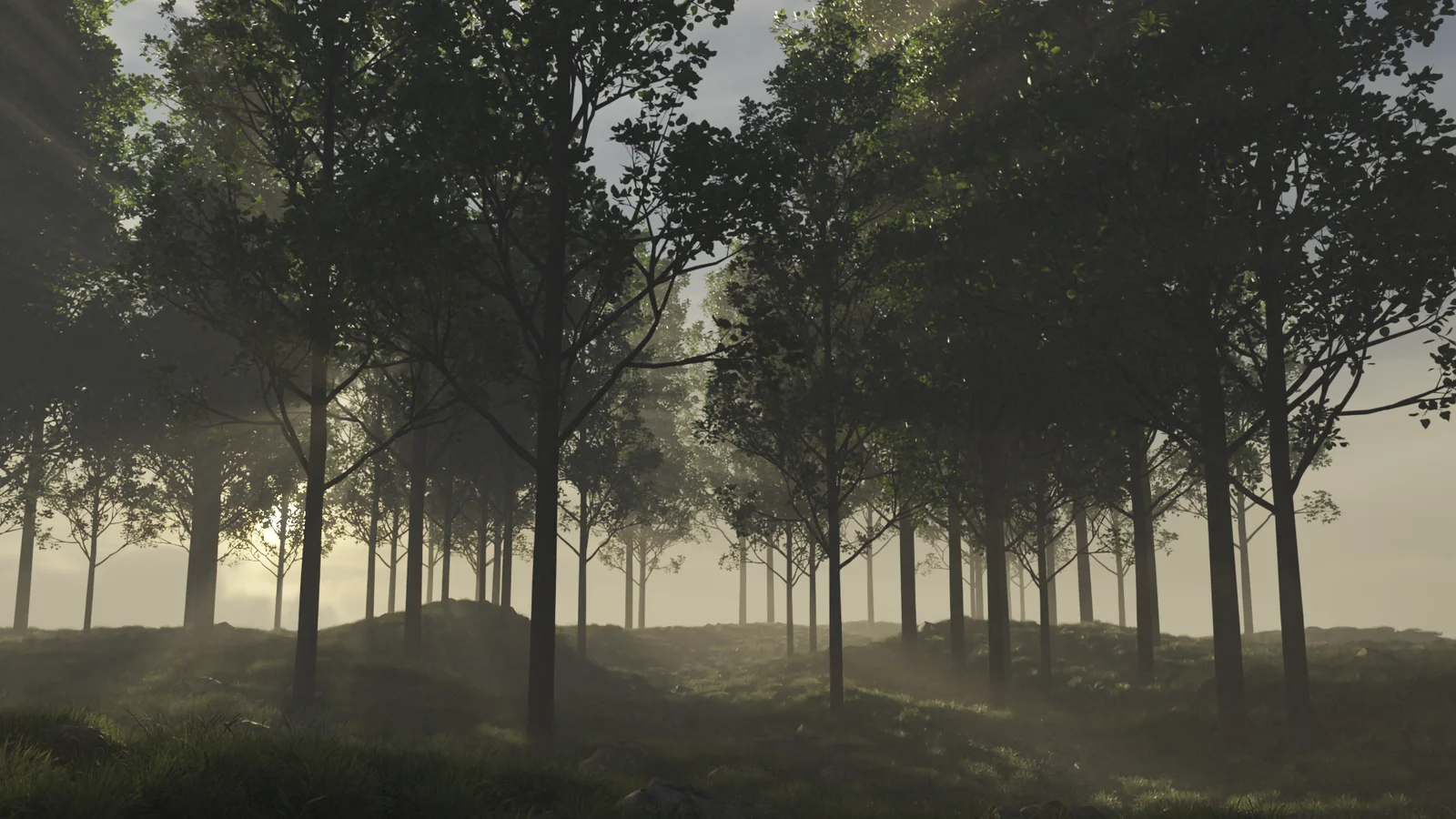 Quick Forest Environment screenshot 2