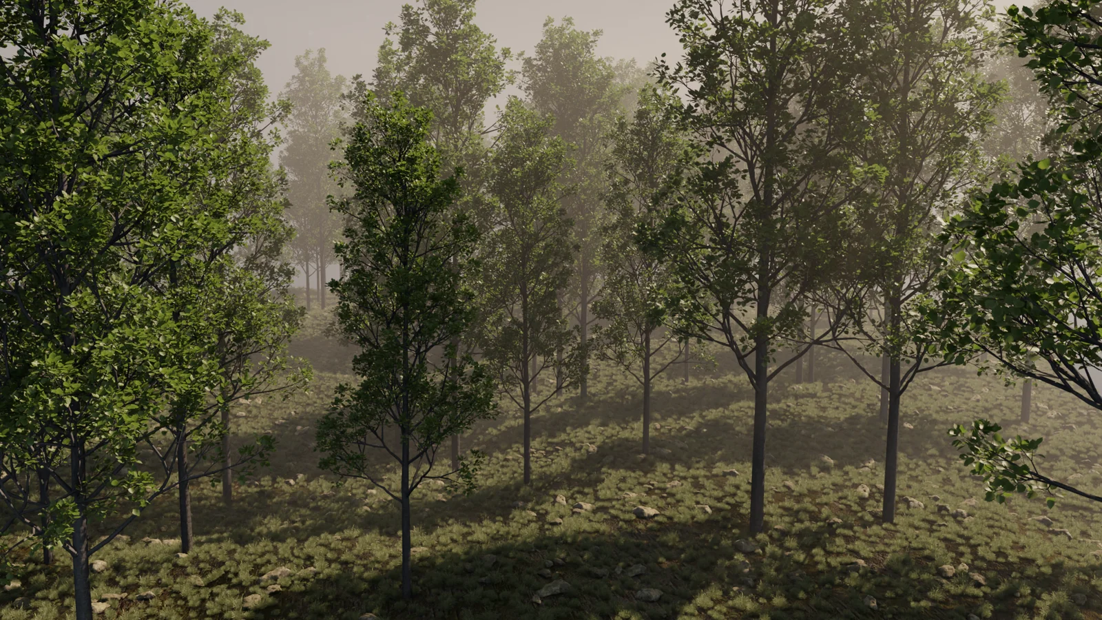 Quick Forest Environment screenshot 5