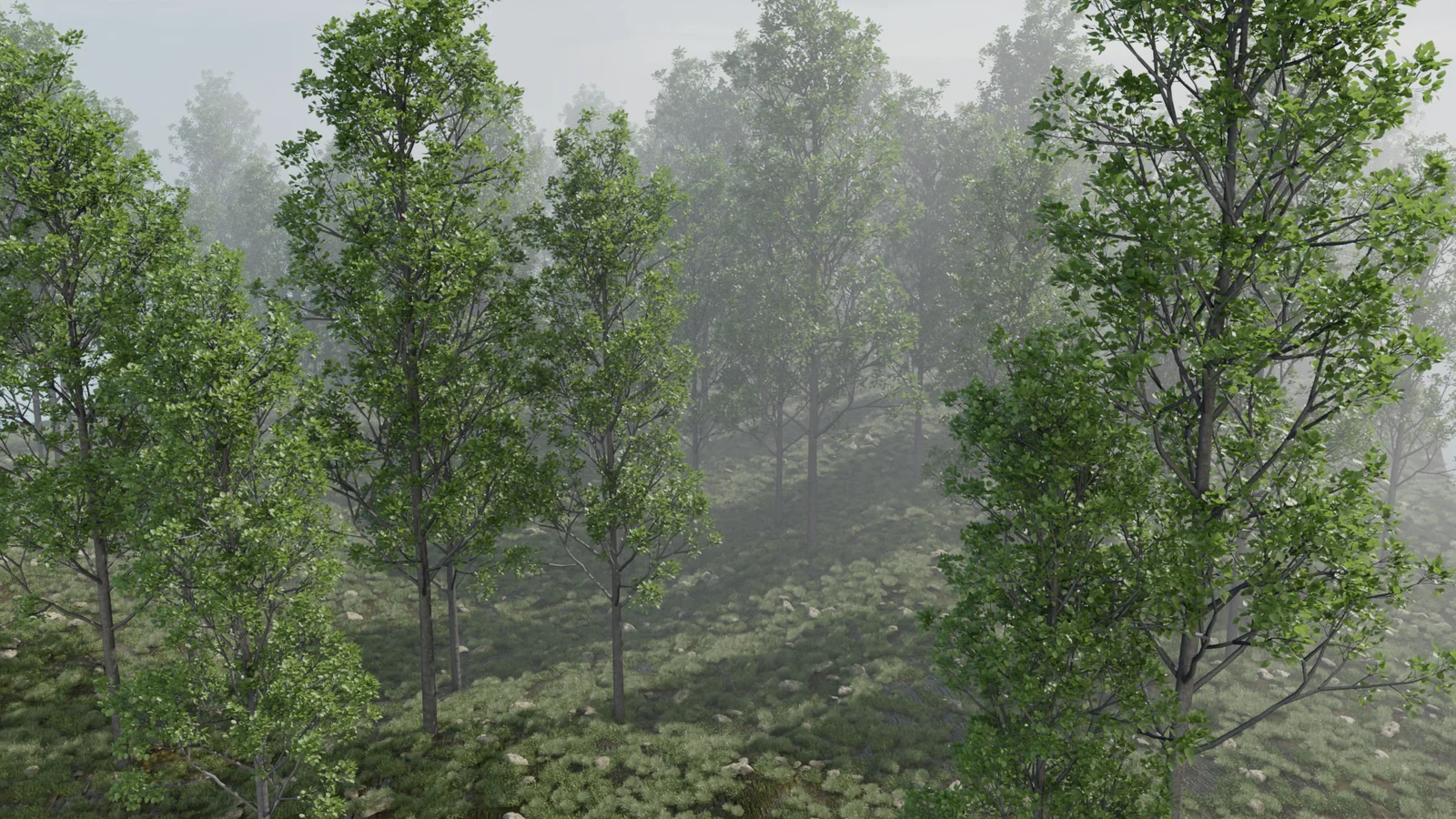 Quick Forest Environment screenshot 6