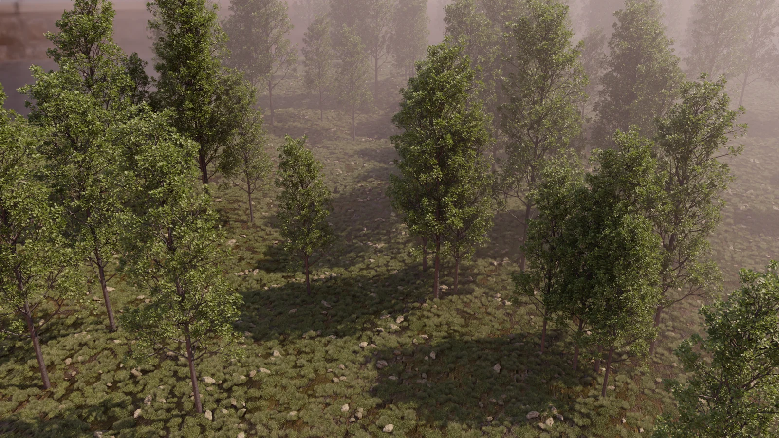 Quick Forest Environment screenshot 7