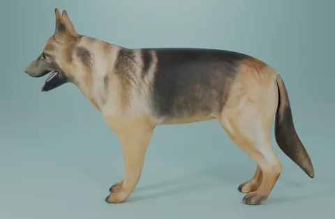 German Shepard - Blender 3d models