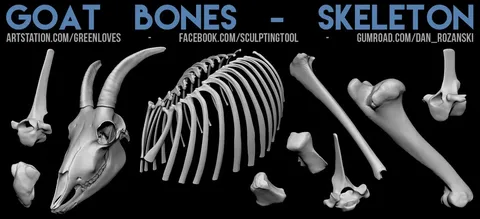 Goat Skeleton - Blender 3d models