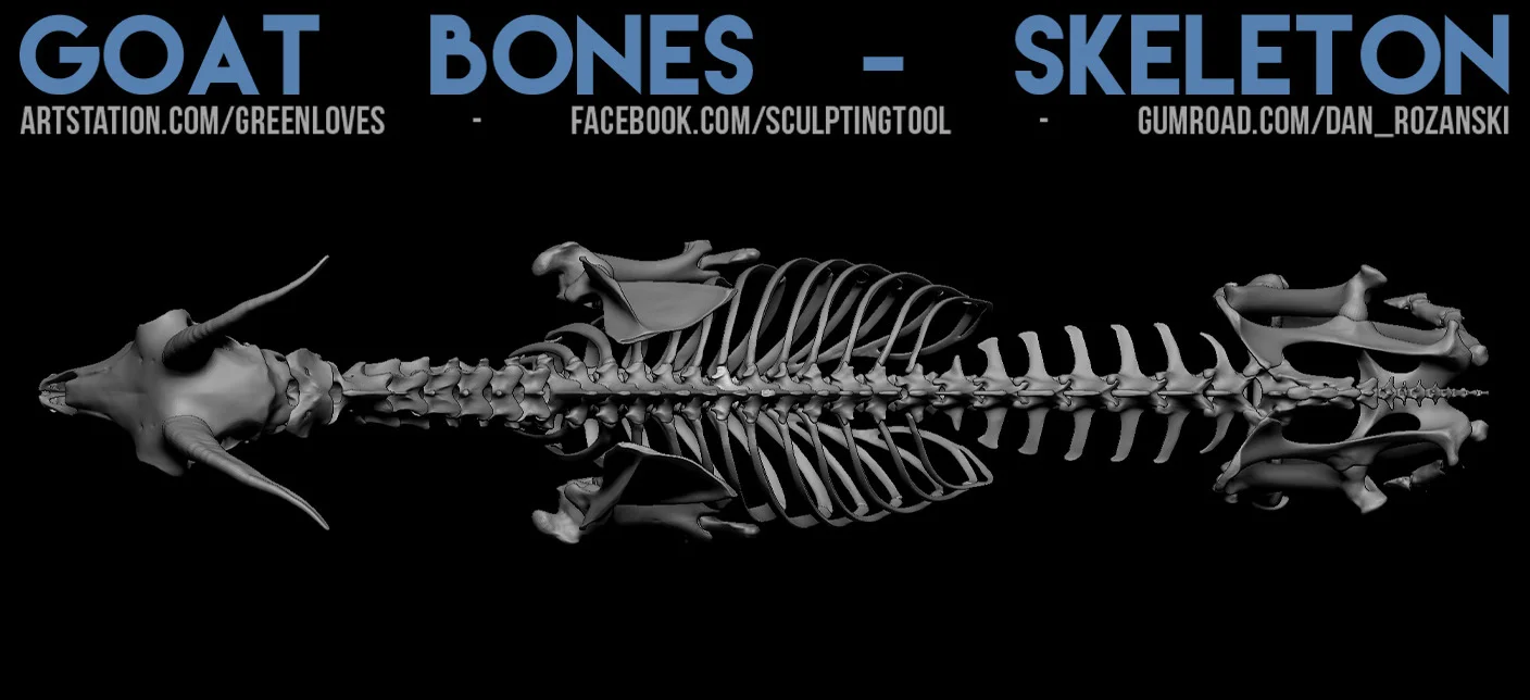 Goat Skeleton screenshot 2