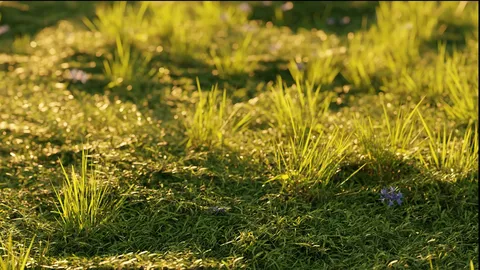 Grass and Tree Generator - Blender geometry nodes