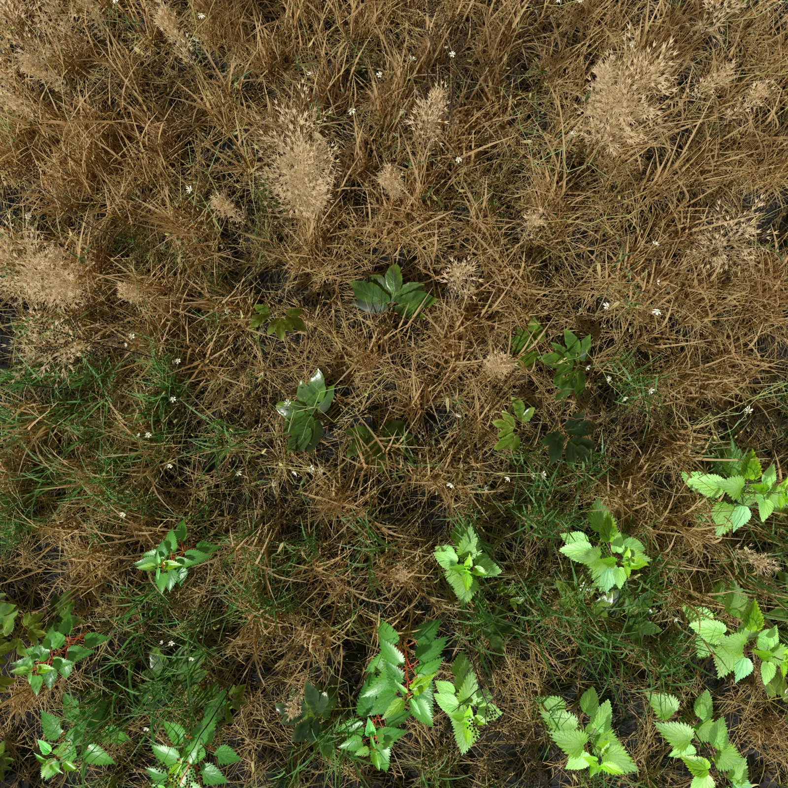 Grass Leaf Starwort Meadow Patch screenshot 2