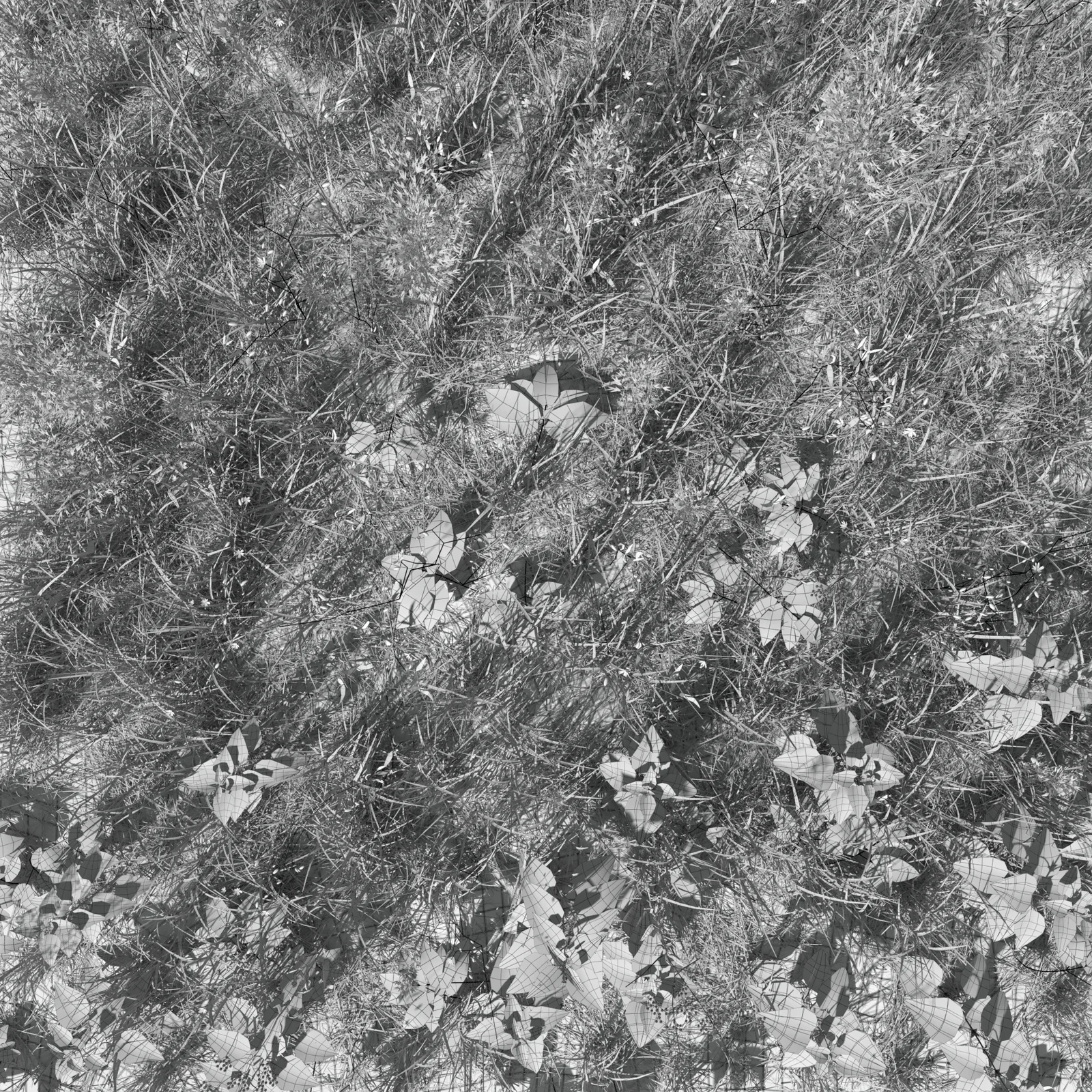 Grass Leaf Starwort Meadow Patch screenshot 3