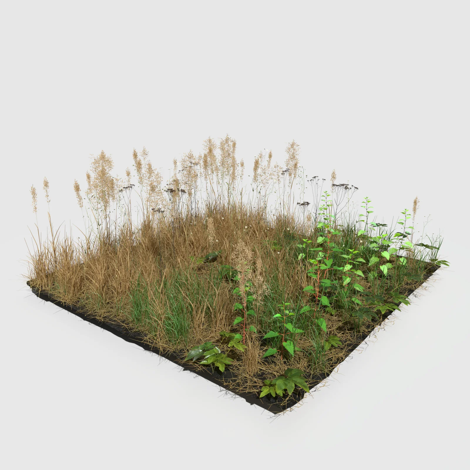 Grass Leaf Starwort Meadow Patch screenshot 4