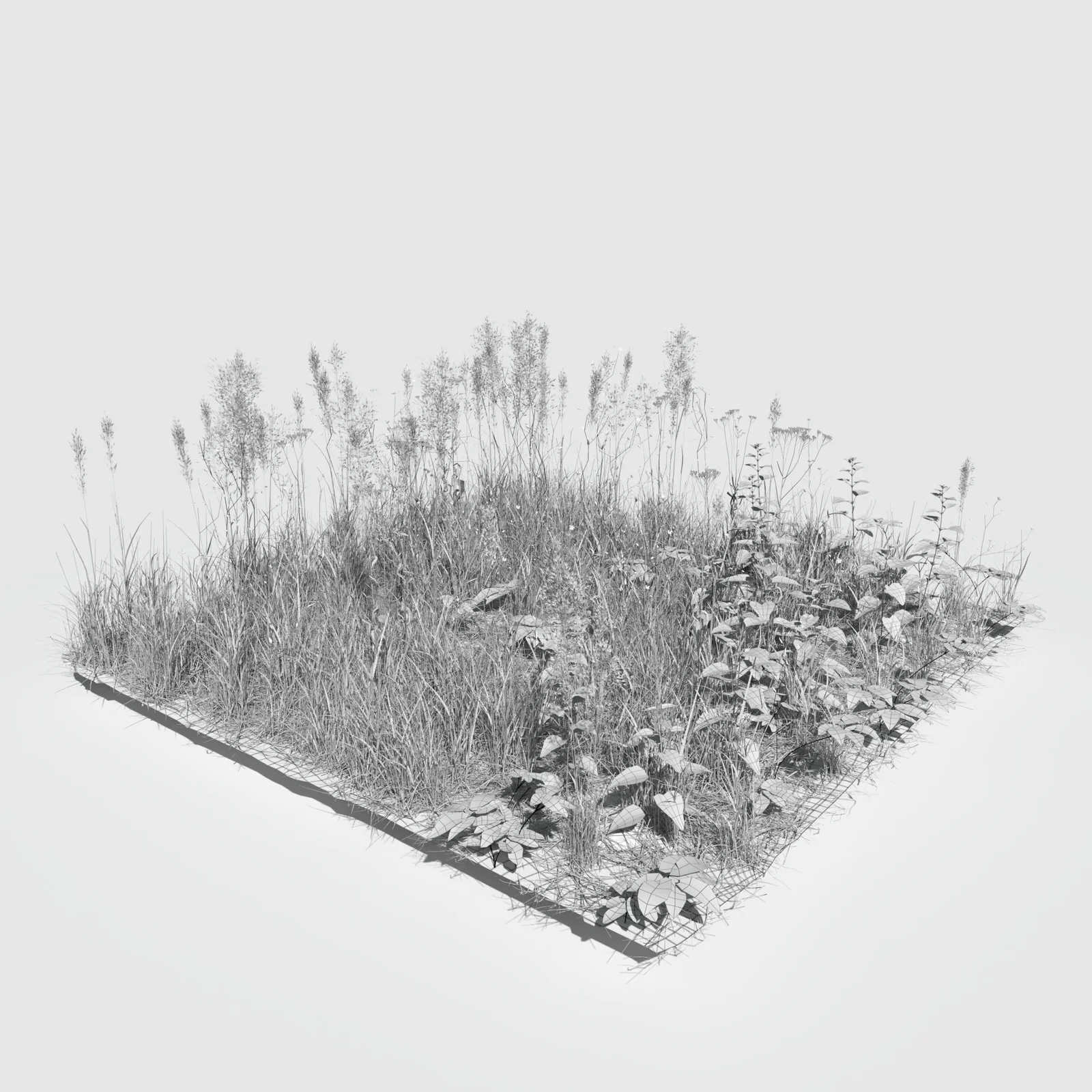 Grass Leaf Starwort Meadow Patch screenshot 5
