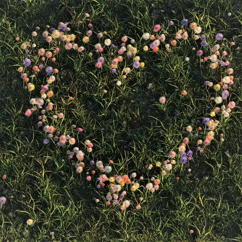 Grass & Nature Assets - Blender 3d models