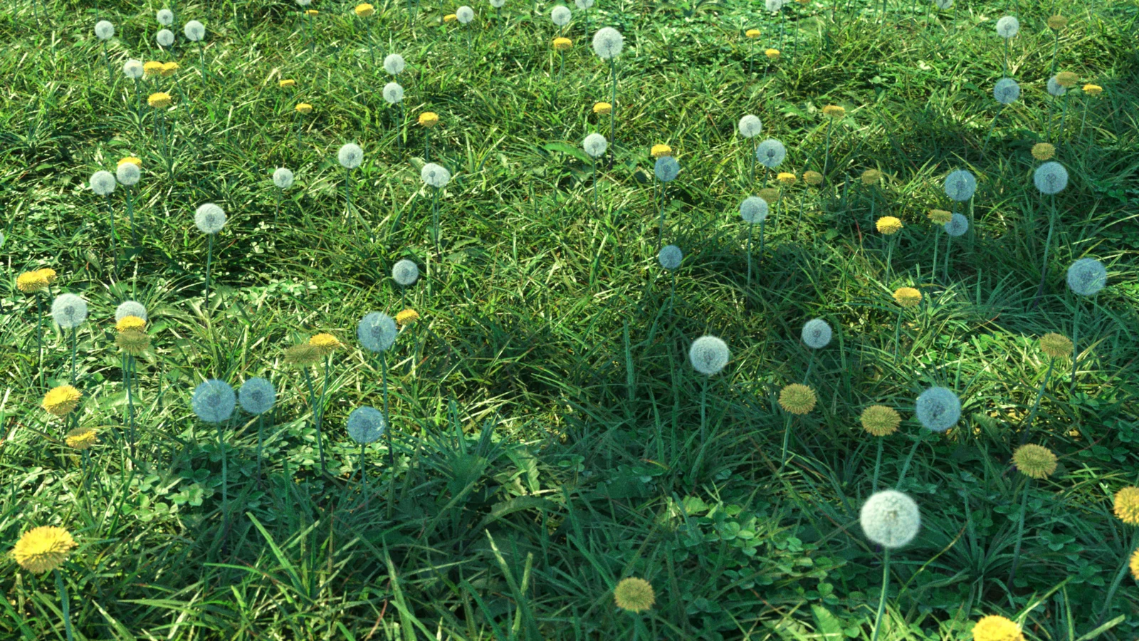 Grass Pack 01 screenshot 3