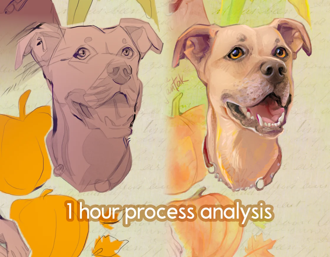 Pixel Canvas Method Bundle screenshot 6