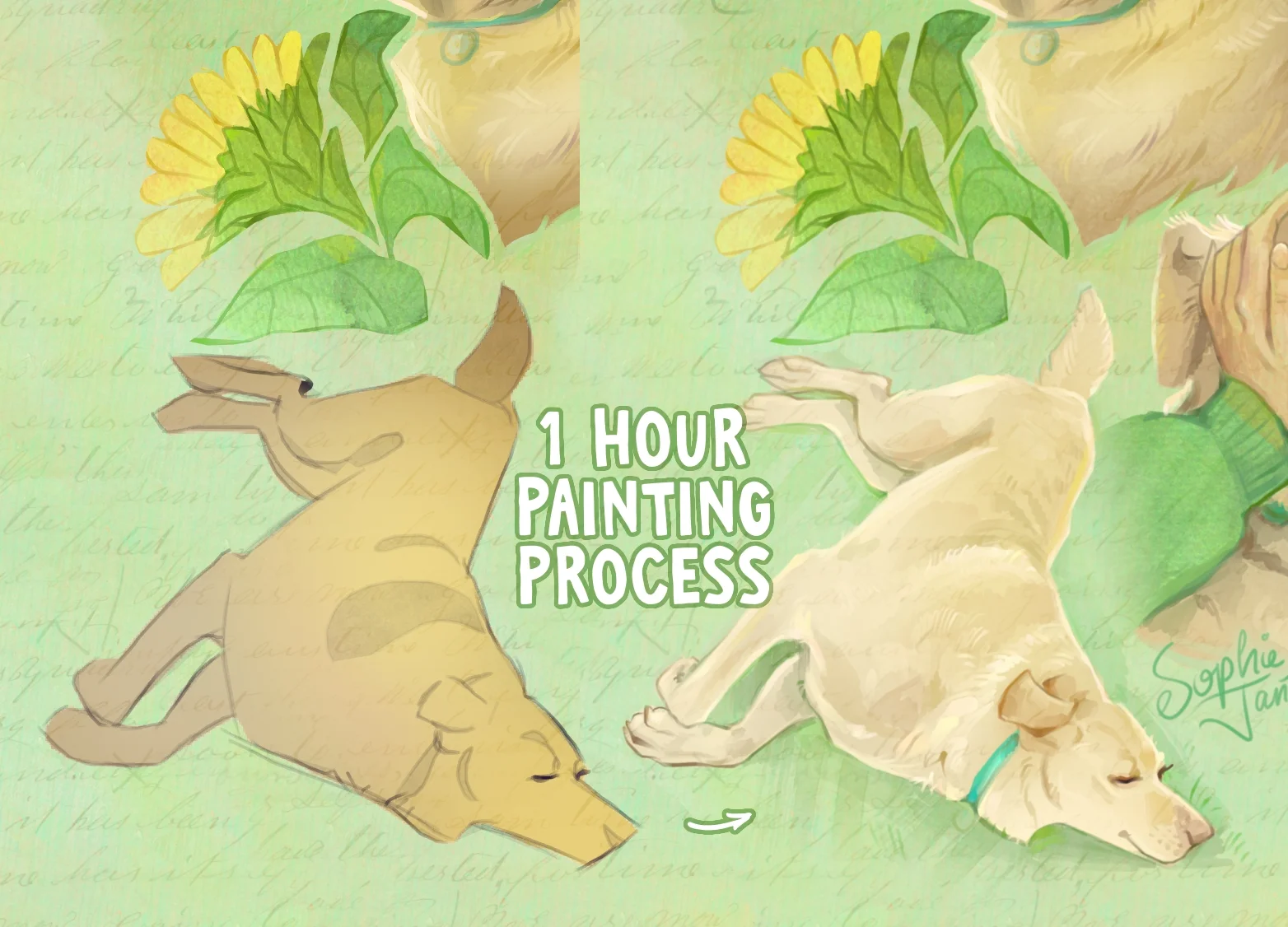 Pixel Canvas Method Bundle screenshot 7