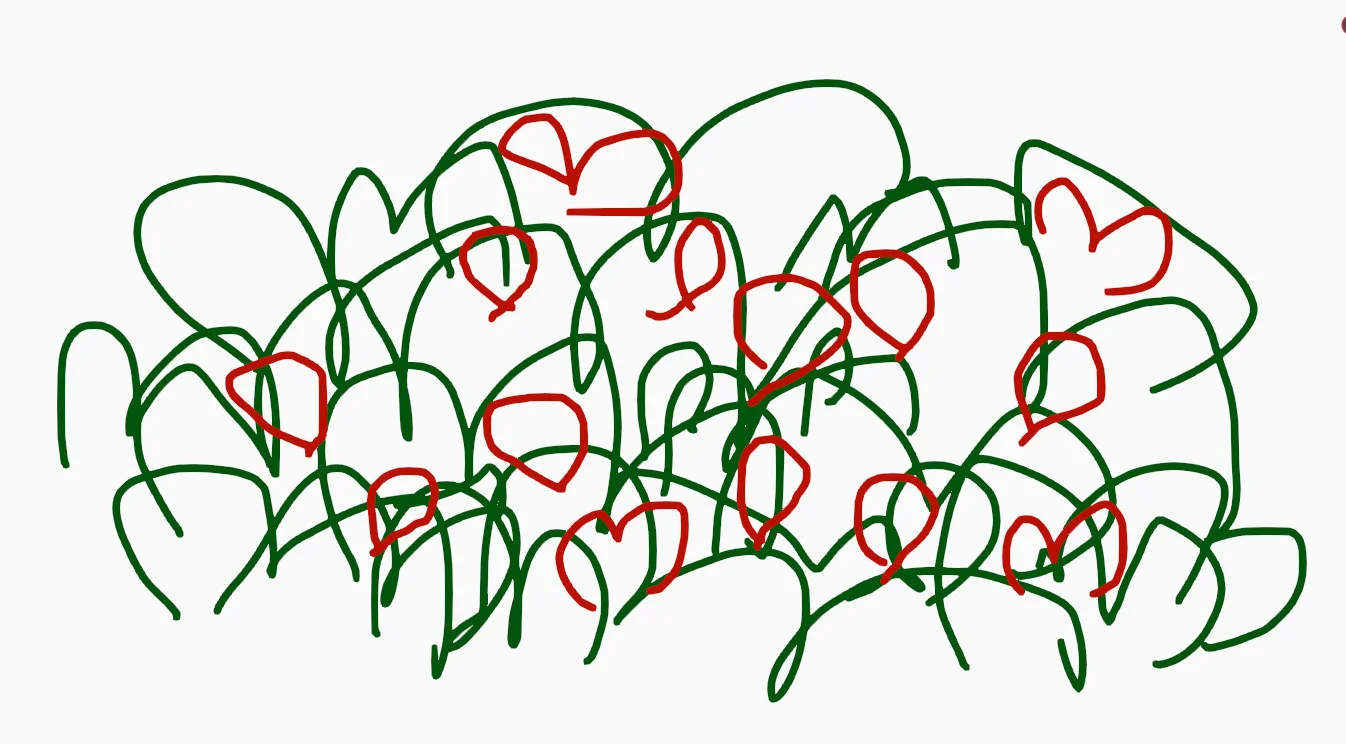 Grease Pencil Roses Bush Effect screenshot 2