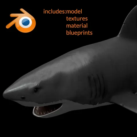 Great White Shark - Blender 3d models