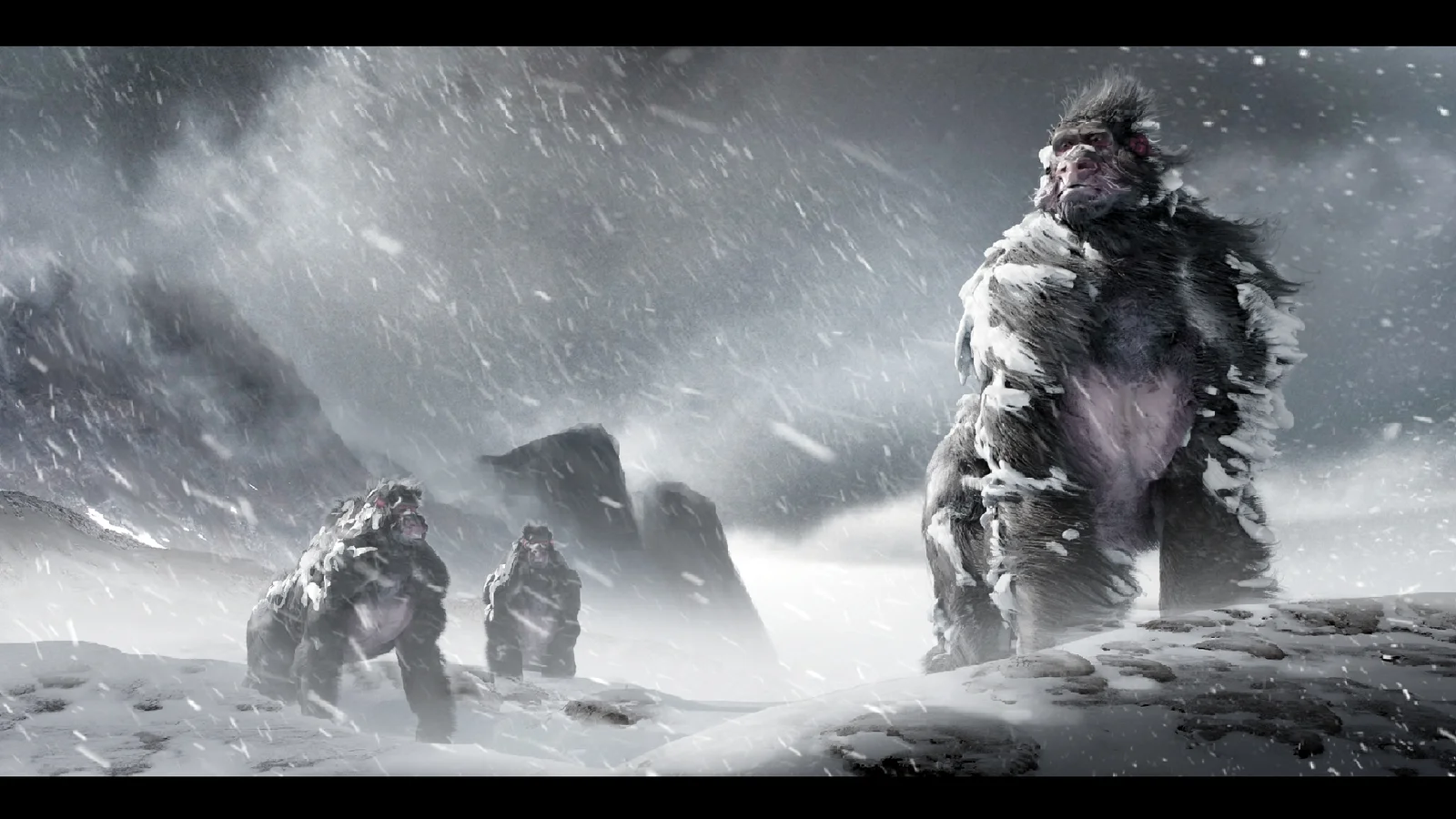 Hair Grooming Process screenshot 3