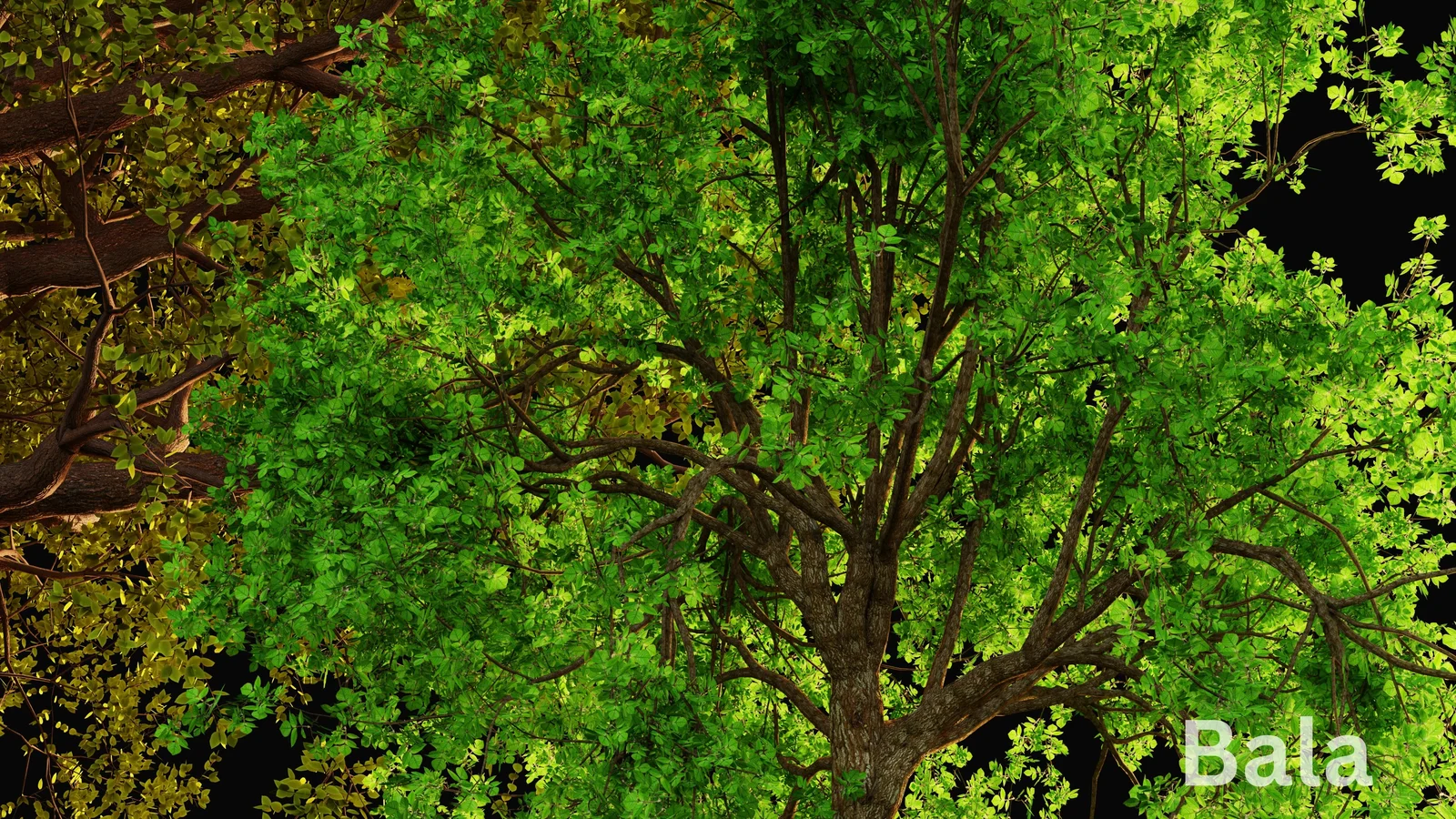 Grovescape screenshot 3