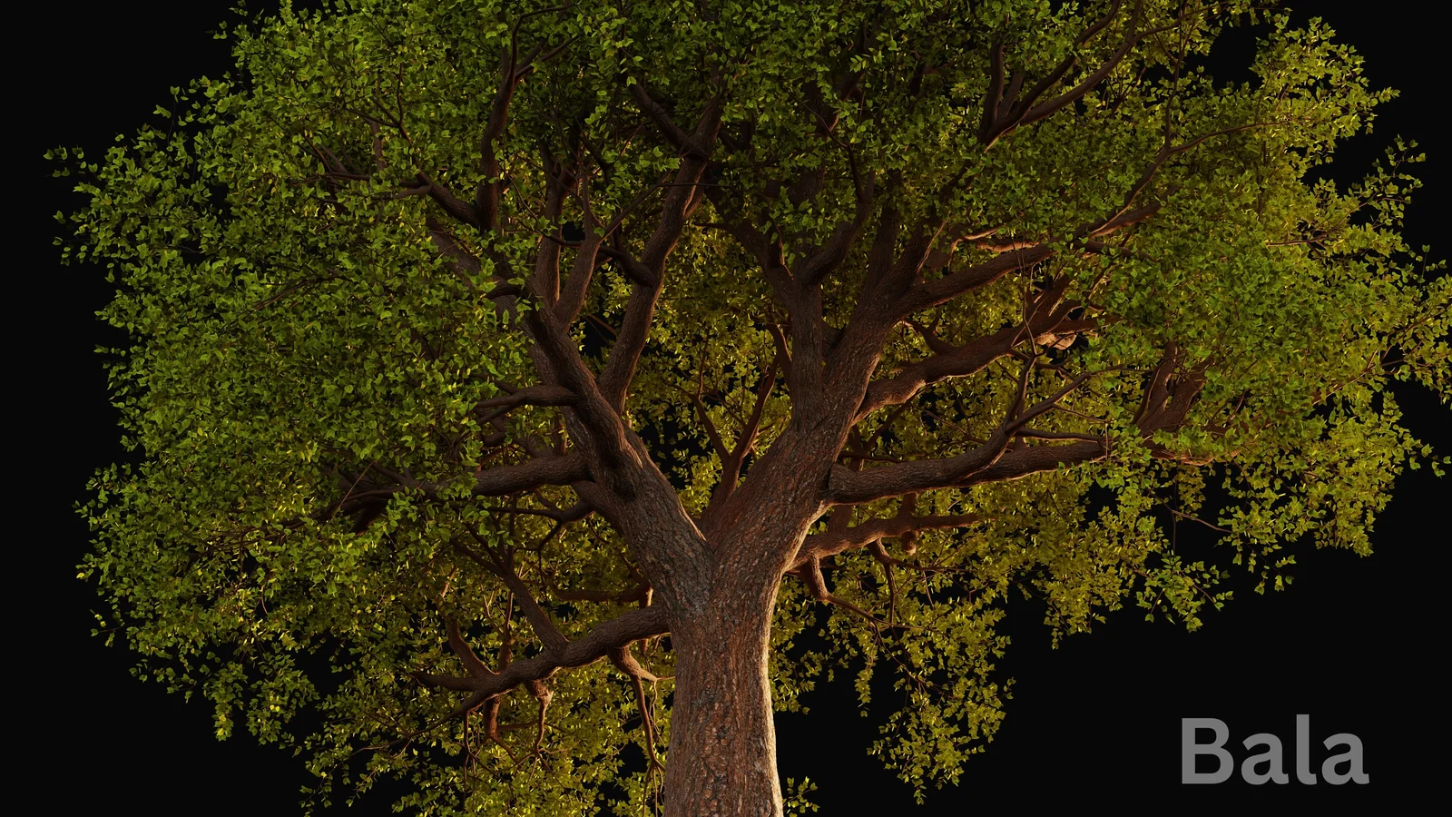 Grovescape screenshot 4