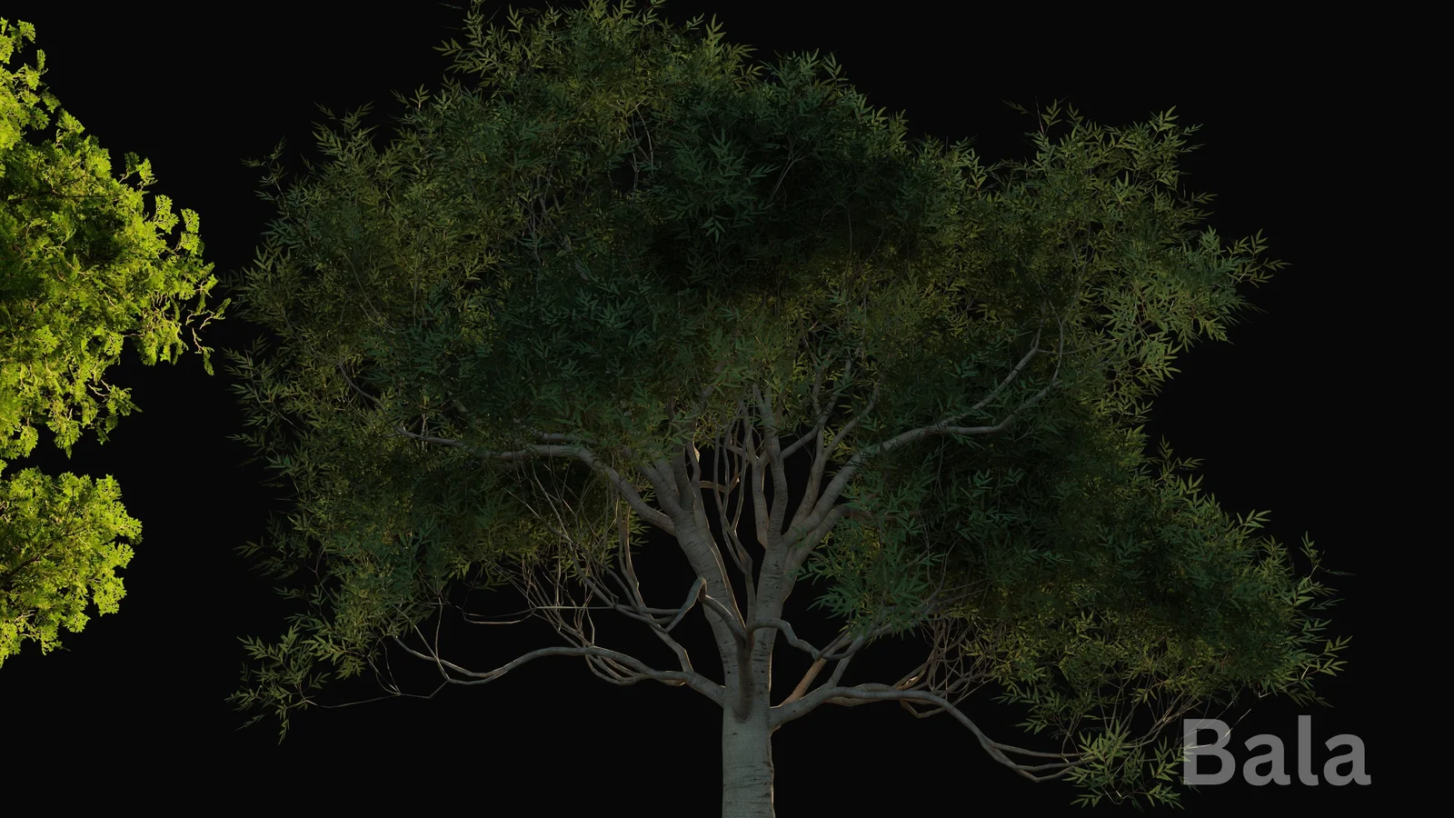 Grovescape screenshot 6