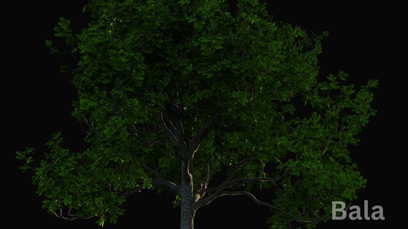 Grovescape screenshot 7